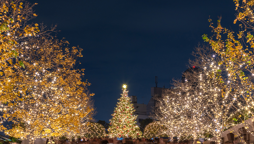 Christmas lights, Tokyo